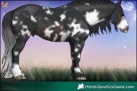 Horse Color:White Spotted Brown Frame 