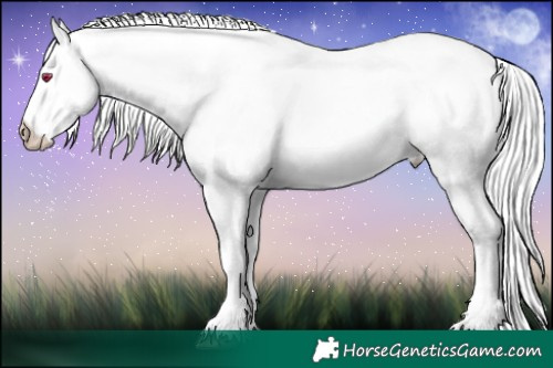 Horse Color:White Spotted Liver Chestnut Chinchilla Pearl Mushroom 