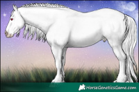 Horse Color:White Spotted Liver Chestnut Chinchilla Pearl Mushroom