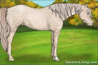 Horse Color:Palomino Ice Pearl 