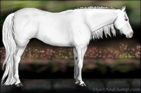 Horse Color:Silver Brown Chinchilla Appaloosa Rabicano