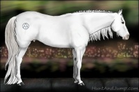 Horse Color:Chocolate Palomino Snowcap
