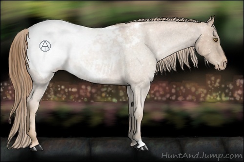 Horse Color:Liver Red Roan Pearl Appaloosa