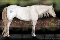Horse Color:Liver Red Roan Pearl Snowcap 