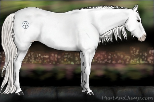 Horse Color:Silver Black Ice Fewspot Rabicano