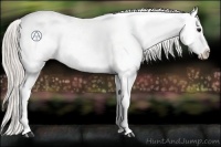 Horse Color:Silver Black Ice Appaloosa Rabicano 