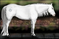 Horse Color:Liver Chestnut Snowcap 