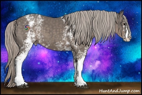 Horse Color:White Spotted Silver Black 