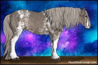 Horse Color:White Spotted Silver Black 