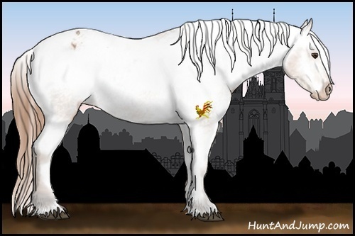 Horse Color:Buckskin Varnish Rabicano 
