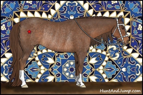Horse Color:Liver Chestnut Rabicano 