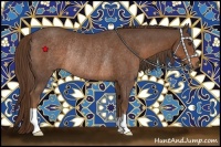 Horse Color:Liver Chestnut Rabicano