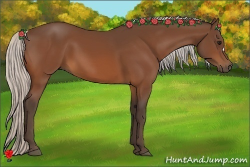 Horse Color:Silver Bay 