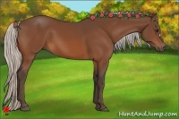 Horse Color:Silver Bay