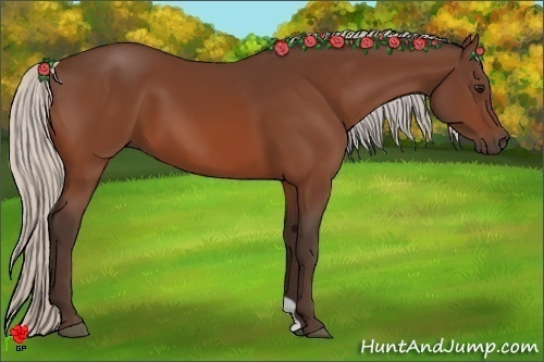 Horse Color:Silver Bay 