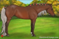 Horse Color:Silver Bay