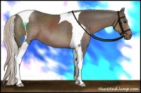 Horse Color:Silver Black Sabino Tobiano
