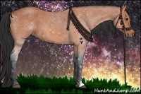 Horse Color:Bay Roan 