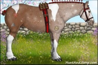 Horse Color:Chestnut Tobiano