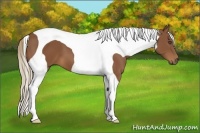 Horse Color:Chestnut Tobiano