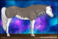 Horse Color:Silver Black Splash 