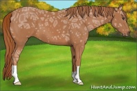 Horse Color:Chestnut Ice 