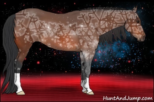 Horse Color:Bay Ice