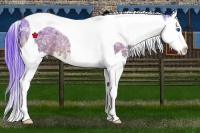 Horse Color:Watercolor Bay Ice Splash Tobiano 