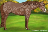 Horse Color:Chestnut Ice Splash 