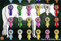 Horse Color:Gray Silver Black Rabicano 