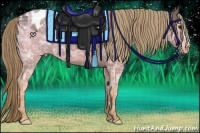 Horse Color:Liver Chestnut Ice Appaloosa 