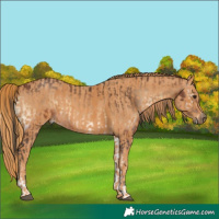 Horse Color:Brown Onyx Rabicano Brindle