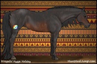 Horse Color:Brown Rabicano Brindle