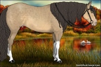 Horse Color:Sable Cream Champagne