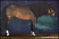 Horse Color:Brown 