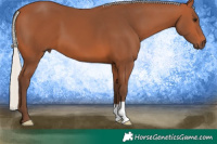 Horse Color:Silver Bay 