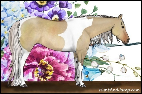 Horse Color:Silver Brown Dun Tobiano Rabicano