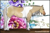 Horse Color:Silver Brown Dun Tobiano Rabicano