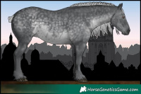 Horse Color:Silver Black Chinchilla