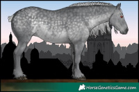 Horse Color:Silver Black Chinchilla 