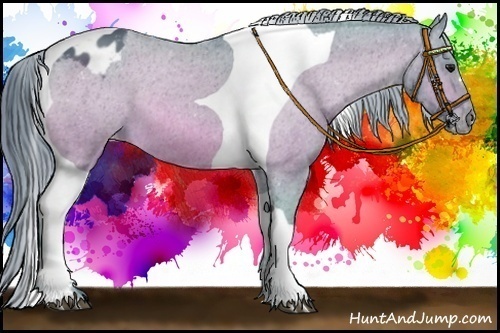 Horse Color:Watercolor Bay Tobiano Varnish 