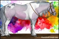 Horse Color:Watercolor Bay Tobiano Varnish 