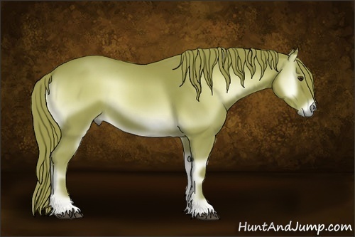 Horse Color:Watercolor Red Onyx