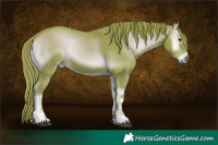 Horse Color:Watercolor Red Onyx 