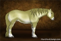 Horse Color:Watercolor Red Onyx