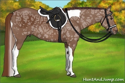 Horse Color:Chestnut Ice Tobiano