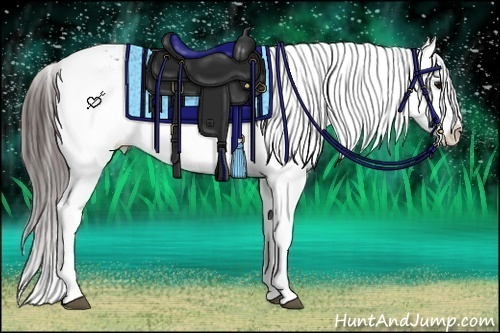 Horse Color:Brown Snowflake Varnish