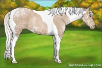 Horse Color:Silver Black Ice Pearl Tobiano 
