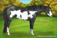 Horse Color:Black Frame 