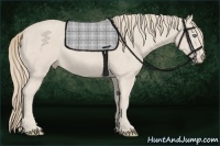Horse Color:Smoky Creme  Brindle